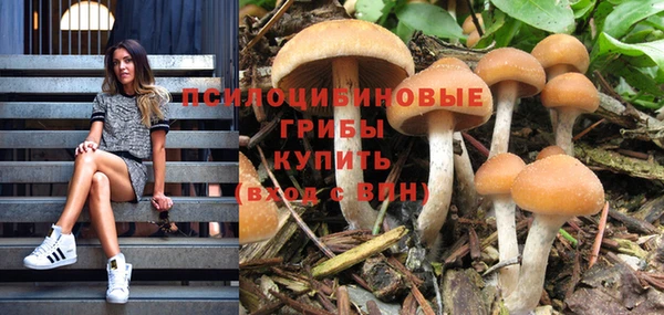 винт Протвино