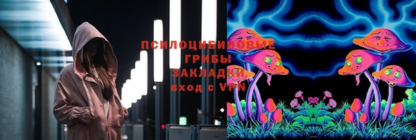 винт Протвино